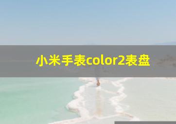 小米手表color2表盘