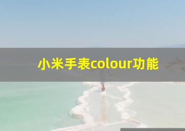 小米手表colour功能