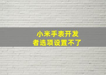 小米手表开发者选项设置不了