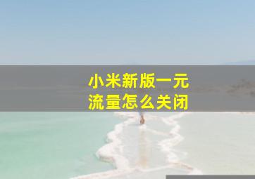 小米新版一元流量怎么关闭