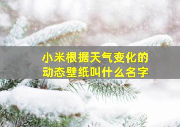 小米根据天气变化的动态壁纸叫什么名字