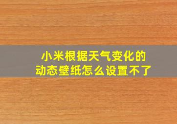 小米根据天气变化的动态壁纸怎么设置不了