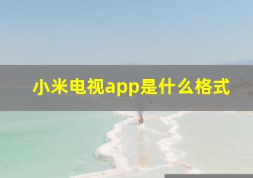 小米电视app是什么格式