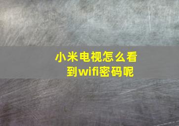 小米电视怎么看到wifi密码呢