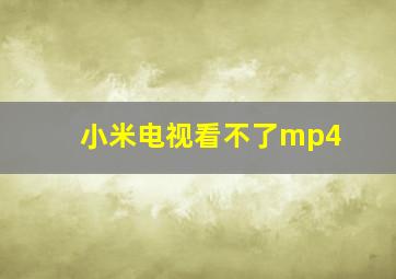 小米电视看不了mp4