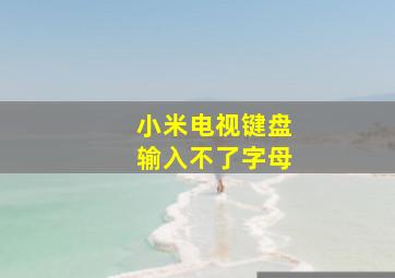 小米电视键盘输入不了字母