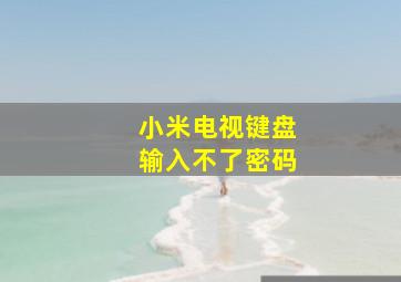 小米电视键盘输入不了密码