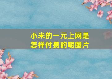 小米的一元上网是怎样付费的呢图片