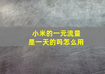 小米的一元流量是一天的吗怎么用