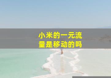 小米的一元流量是移动的吗