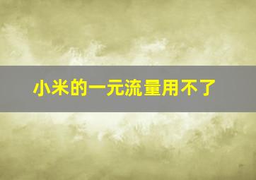 小米的一元流量用不了