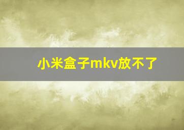 小米盒子mkv放不了