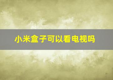 小米盒子可以看电视吗