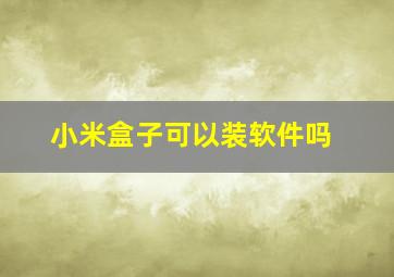 小米盒子可以装软件吗