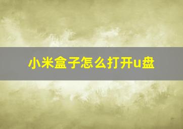 小米盒子怎么打开u盘