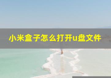 小米盒子怎么打开u盘文件