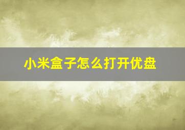 小米盒子怎么打开优盘