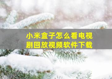 小米盒子怎么看电视剧回放视频软件下载