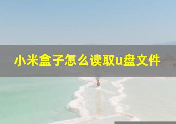 小米盒子怎么读取u盘文件