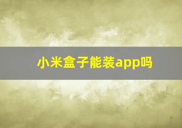 小米盒子能装app吗