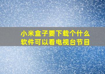 小米盒子要下载个什么软件可以看电视台节目