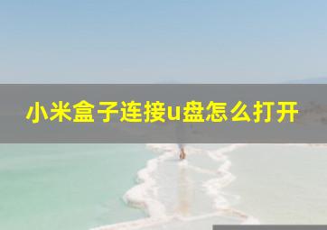 小米盒子连接u盘怎么打开