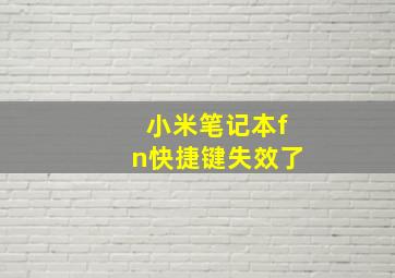 小米笔记本fn快捷键失效了