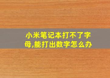 小米笔记本打不了字母,能打出数字怎么办