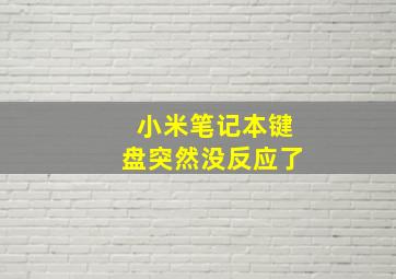 小米笔记本键盘突然没反应了