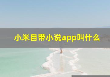 小米自带小说app叫什么