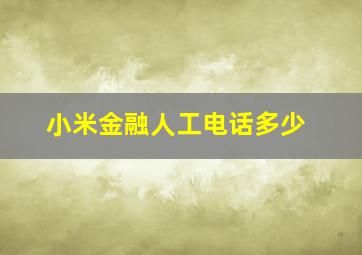 小米金融人工电话多少