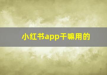 小红书app干嘛用的