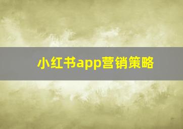 小红书app营销策略