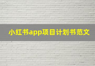 小红书app项目计划书范文