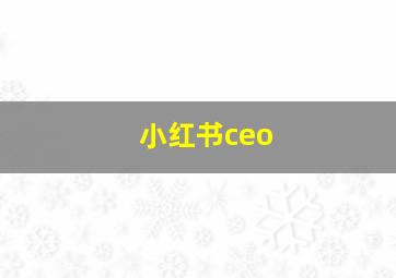 小红书ceo