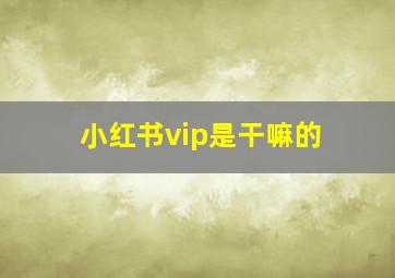 小红书vip是干嘛的