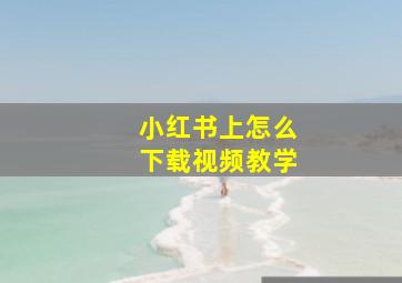 小红书上怎么下载视频教学