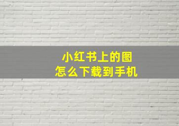 小红书上的图怎么下载到手机