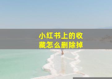 小红书上的收藏怎么删除掉