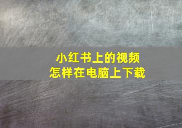 小红书上的视频怎样在电脑上下载