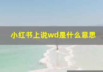 小红书上说wd是什么意思