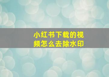 小红书下载的视频怎么去除水印