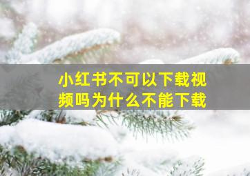 小红书不可以下载视频吗为什么不能下载