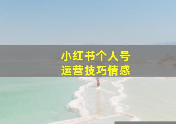 小红书个人号运营技巧情感