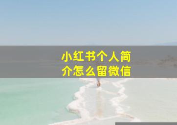 小红书个人简介怎么留微信