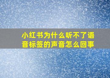 小红书为什么听不了语音标签的声音怎么回事