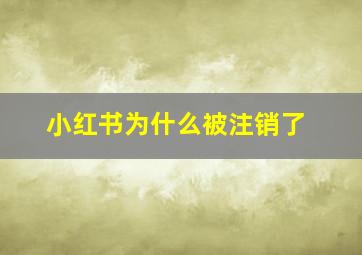 小红书为什么被注销了