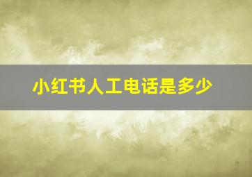 小红书人工电话是多少