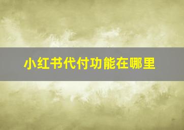 小红书代付功能在哪里