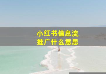 小红书信息流推广什么意思